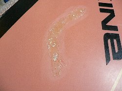 �I�[�o�[�z�[�� NoMark tail 4